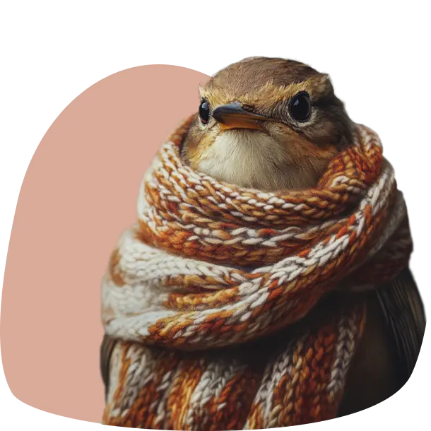 Image Bird